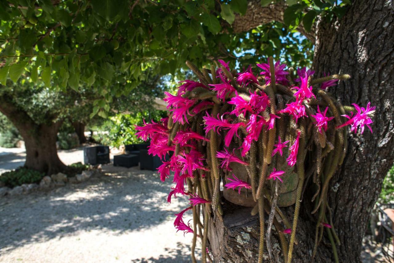 Agriturismo Grotta Di Figazzano Cisternino Εξωτερικό φωτογραφία