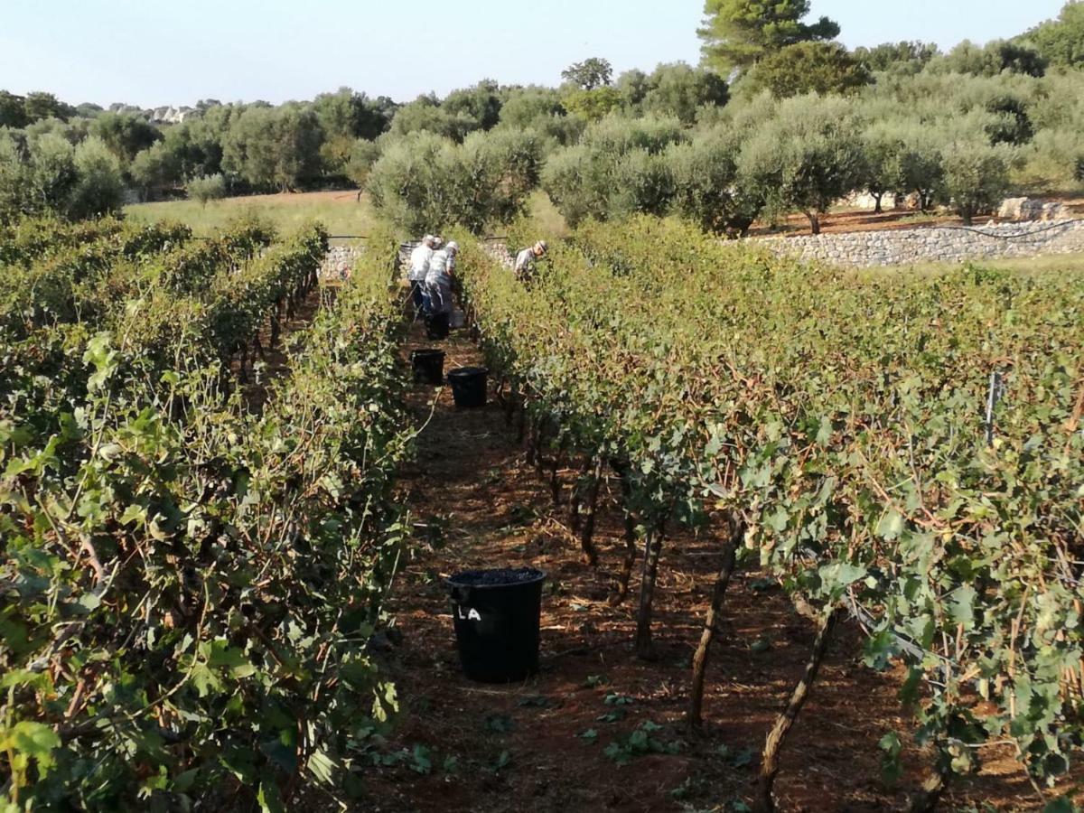 Agriturismo Grotta Di Figazzano Cisternino Εξωτερικό φωτογραφία