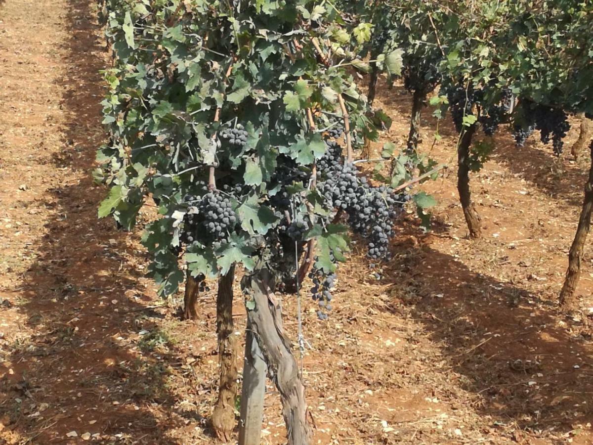 Agriturismo Grotta Di Figazzano Cisternino Εξωτερικό φωτογραφία