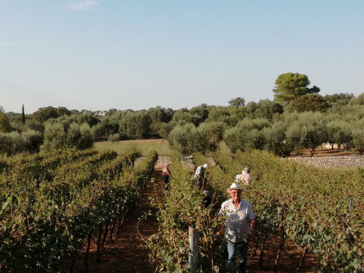 Agriturismo Grotta Di Figazzano Cisternino Εξωτερικό φωτογραφία