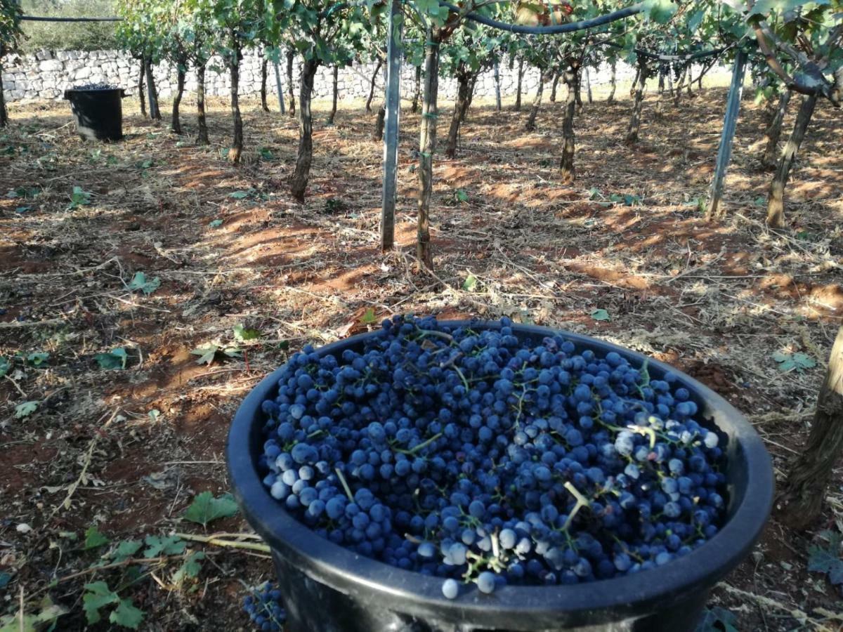 Agriturismo Grotta Di Figazzano Cisternino Εξωτερικό φωτογραφία
